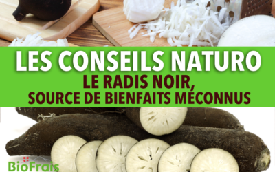 Les conseils Naturo : Le radis noir source de bienfaits méconnus