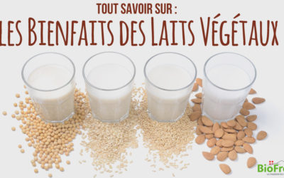Tout savoir sur les laits végétaux et leurs bienfaits