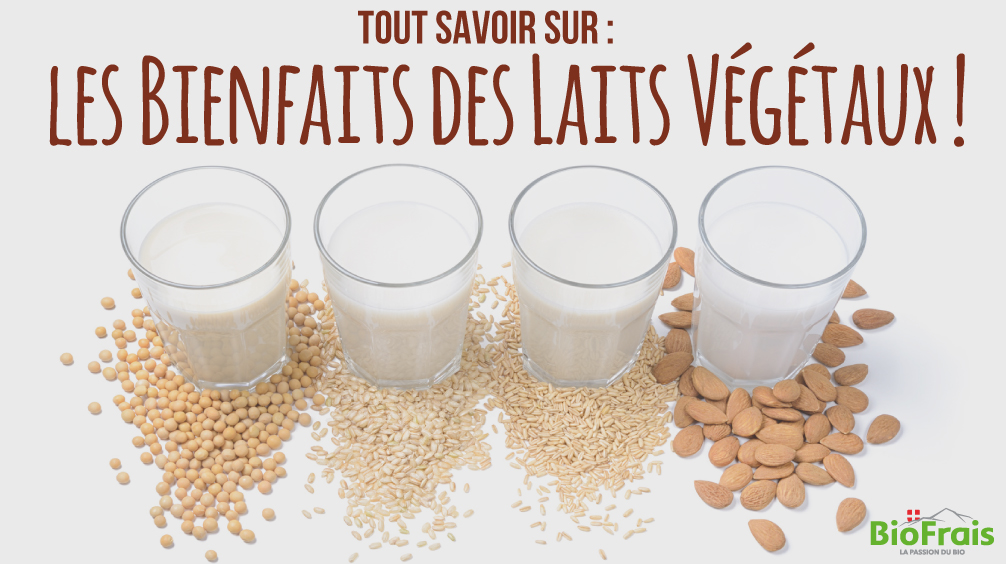 Tout savoir sur les laits végétaux et leurs bienfaits