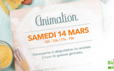Animation sur les graines germées