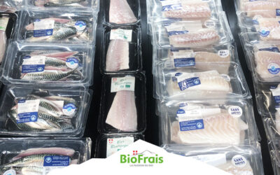 Nouveau : Poissons et crustacés dans votre magasin !
