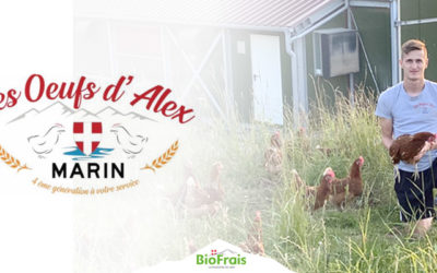 Découvrez Les Oeufs d’Alex
