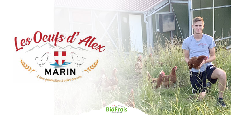 Découvrez Les Oeufs d&rsquo;Alex