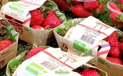 La fraise bio française est arrivée !