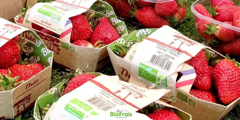 La fraise bio française est arrivée !