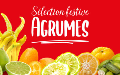 Vitaminez vos tables des fêtes avec nos agrumes d’exception !