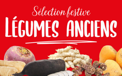 Des légumes anciens BIO et gourmands pour vos tables des fêtes !