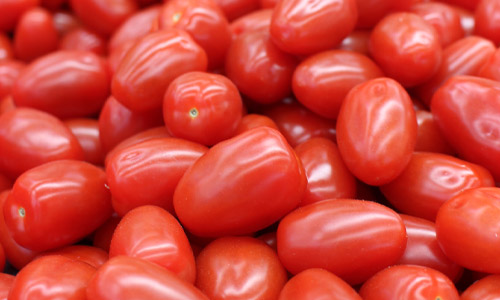 Pomme Granny Bio