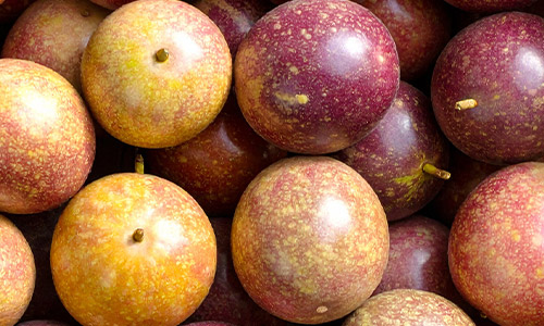 Pomme Granny Bio