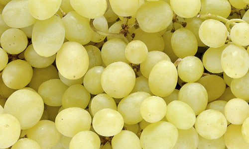 Pomme Granny Bio