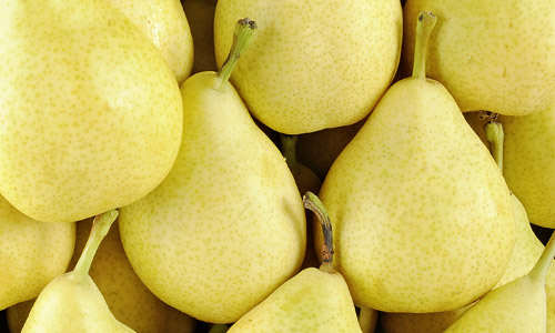 Pomme Granny Bio
