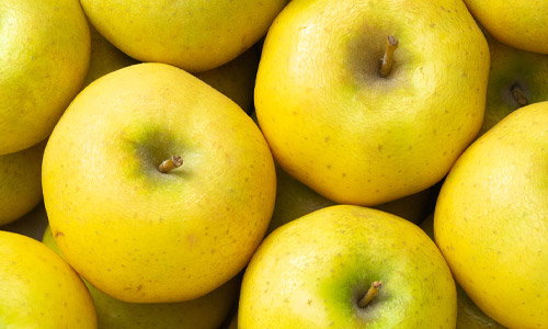 Pomme Granny Bio
