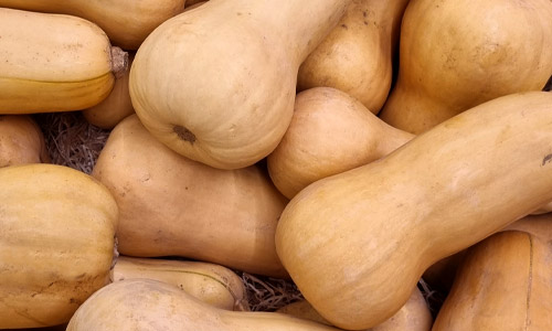 Pomme Granny Bio