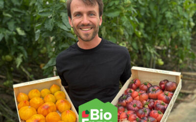 Découvrez les tomates Bio de Jean-Baptiste