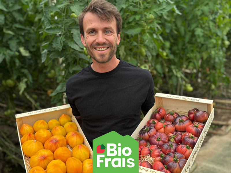 Découvrez les tomates Bio de Jean-Baptiste