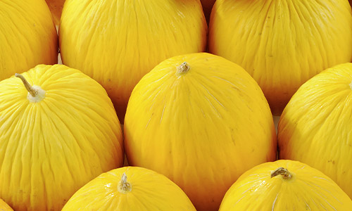 Pomme Granny Bio